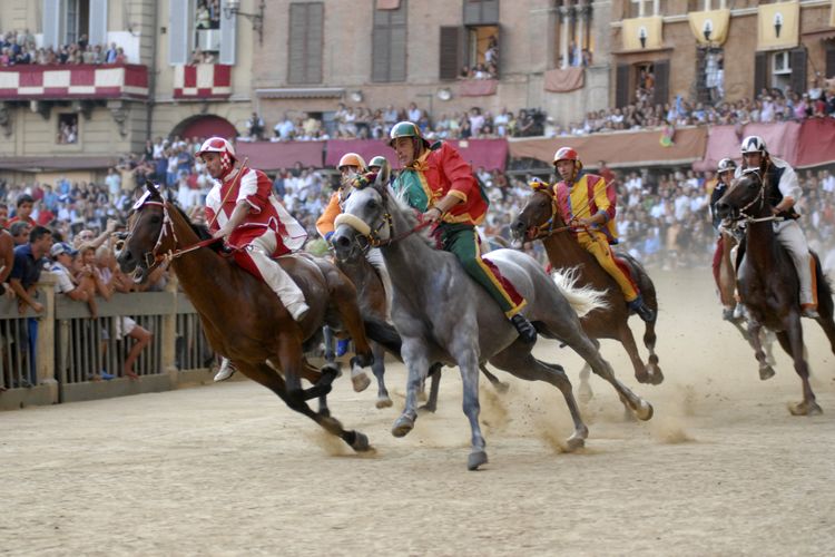 siena, the medieval city,remains unchanged during the centuries and is well known in the world for the palio 