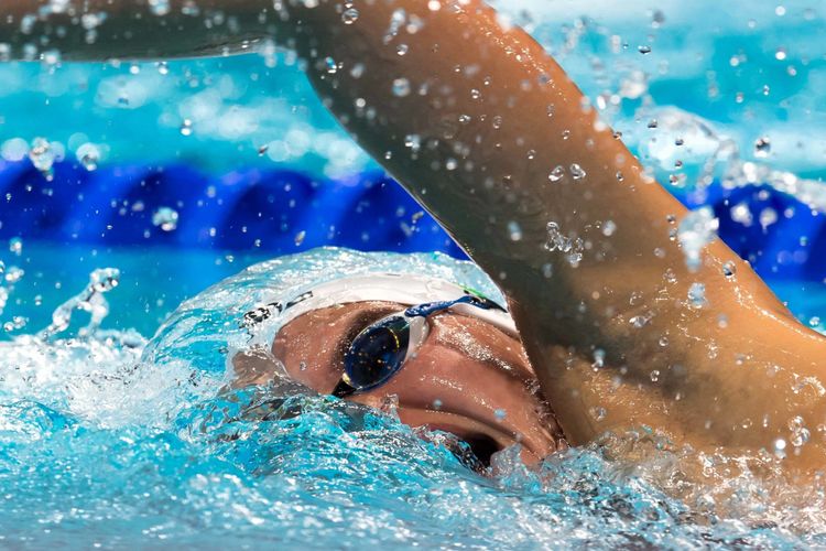 Rome 2022: European aquatics championships