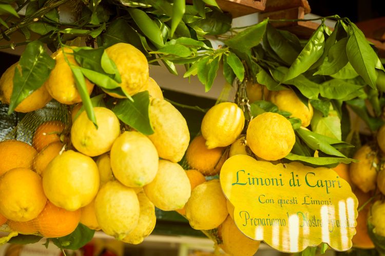 A bunch of lemon groves